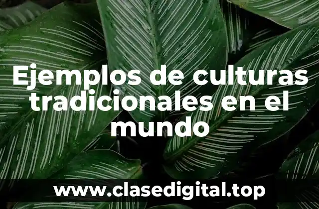 Ejemplos de culturas tradicionales en el mundo