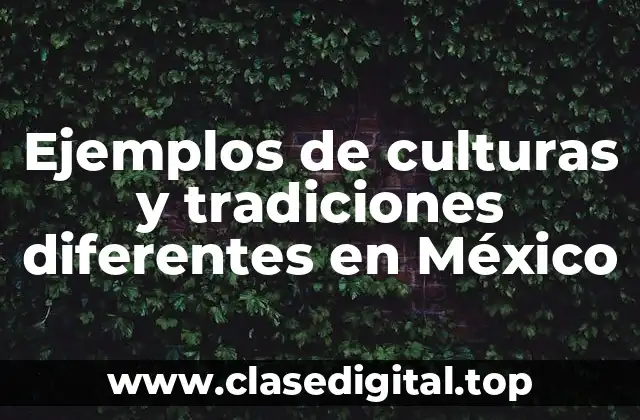 Ejemplos de culturas y tradiciones diferentes en México