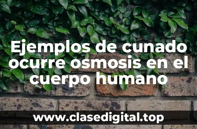 Ejemplos de cunado ocurre osmosis en el cuerpo humano
