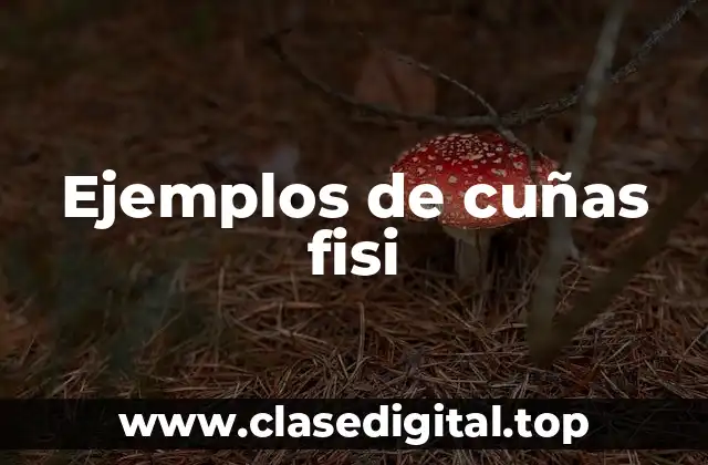 Ejemplos de cuñas fisi