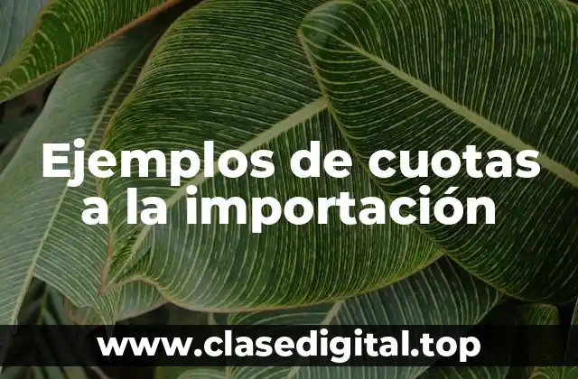 Ejemplos de cuotas a la importación