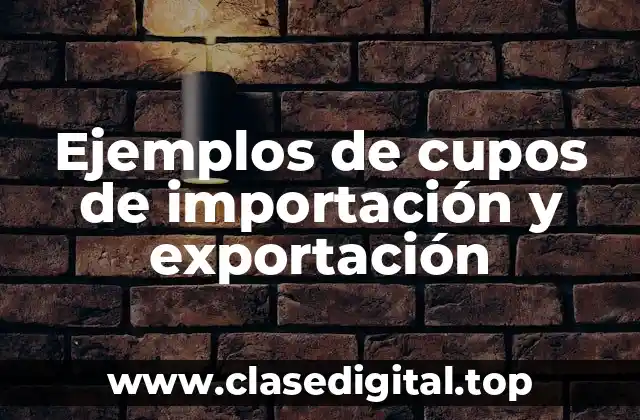 Ejemplos de cupos de importación y exportación
