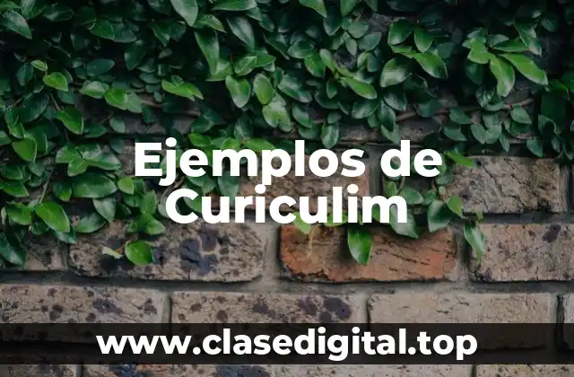 Ejemplos de Curiculim