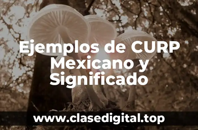 Ejemplos de CURP Mexicano y Significado