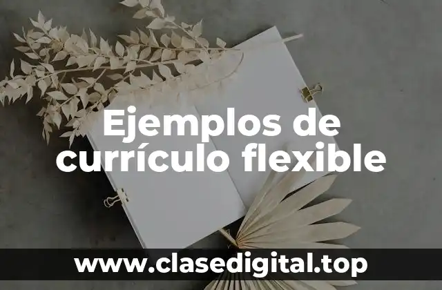 Ejemplos de currículo flexible