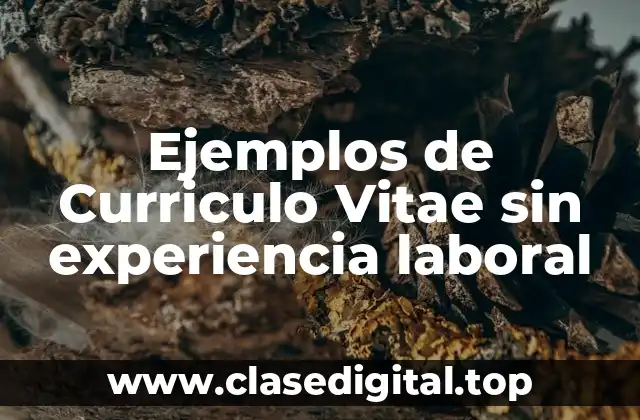 Ejemplos de Curriculo Vitae sin experiencia laboral
