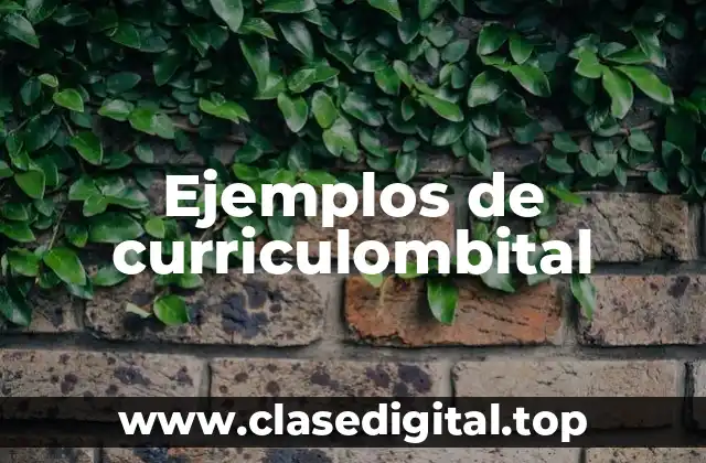 Ejemplos de curriculombital