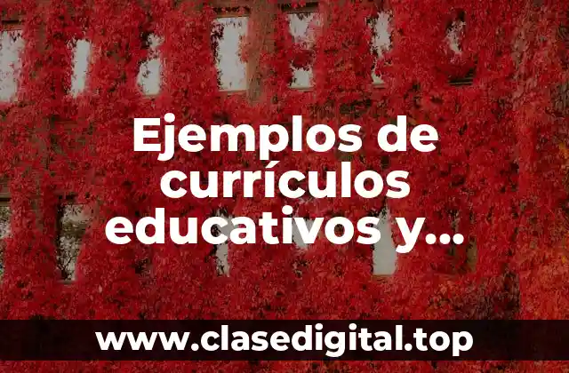 Ejemplos de currículos educativos y Significado