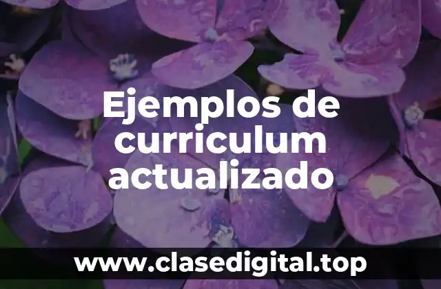 Ejemplos de curriculum actualizado