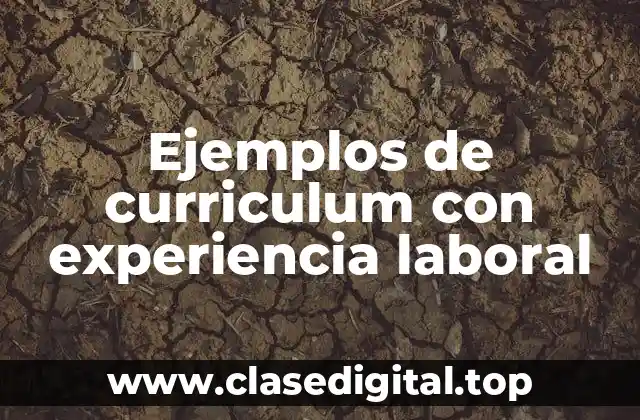 Ejemplos de curriculum con experiencia laboral