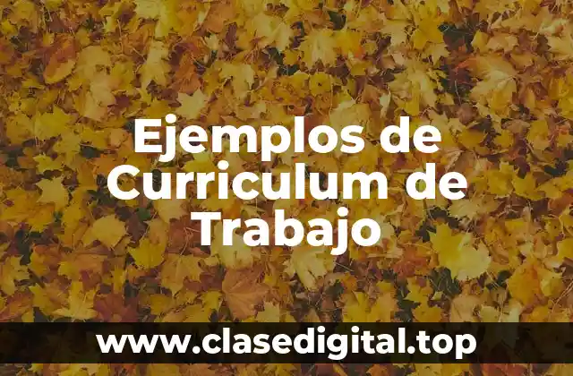 Ejemplos de Curriculum de Trabajo