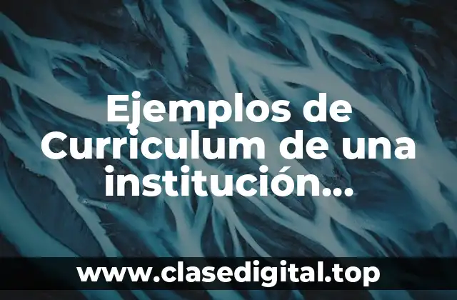Ejemplos de Curriculum de una institución educativa