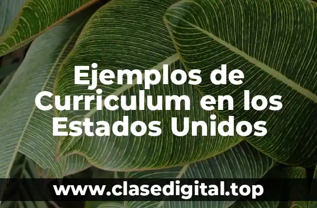 Ejemplos de Curriculum en los Estados Unidos
