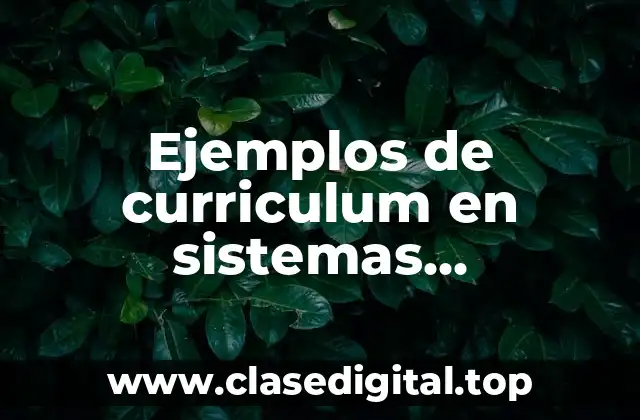 Ejemplos de curriculum en sistemas computacionales