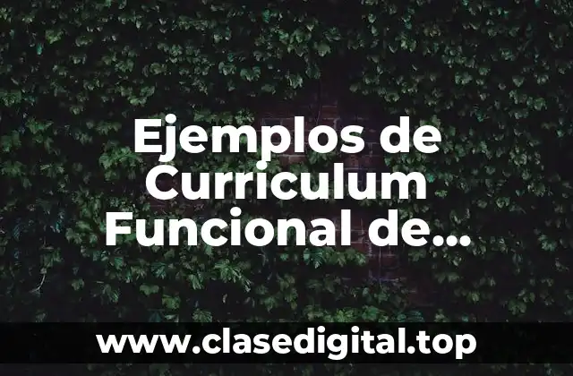 Ejemplos de Curriculum Funcional de Topógrafo