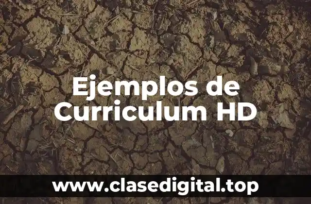 Ejemplos de Curriculum HD