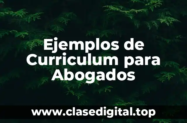 Ejemplos de Curriculum para Abogados