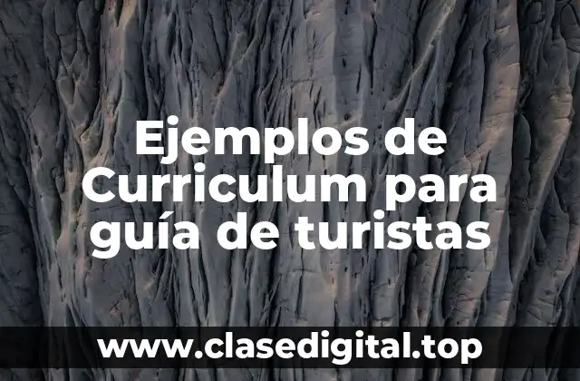 Ejemplos de Curriculum para guía de turistas