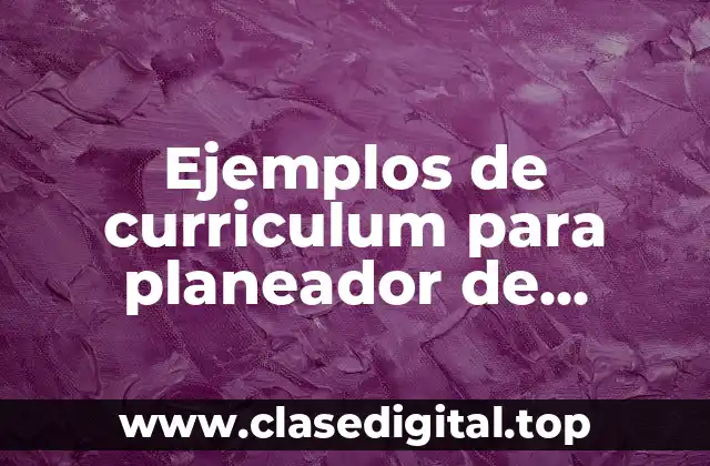 Ejemplos de curriculum para planeador de producción