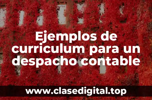 Ejemplos de curriculum para un despacho contable
