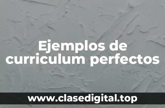 Ejemplos de curriculum perfectos