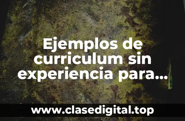 Ejemplos de curriculum sin experiencia para profesores