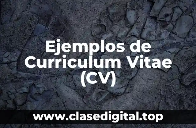 Ejemplos de Curriculum Vitae (CV)