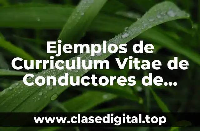 Ejemplos de Curriculum Vitae de Conductores de Vehículos Cisterna