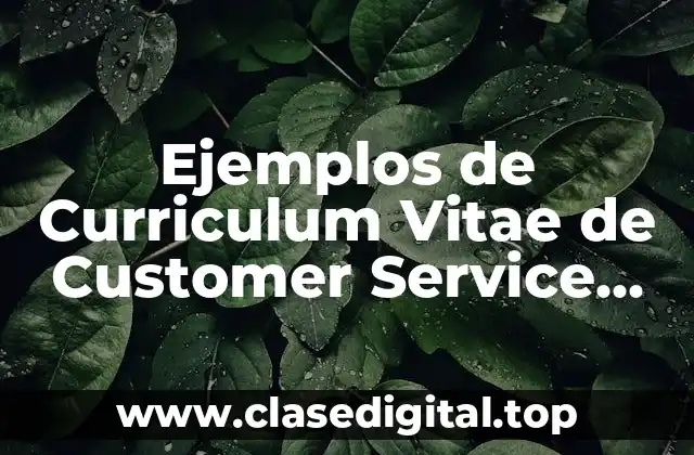 Ejemplos de Curriculum Vitae de Customer Service Supervisor