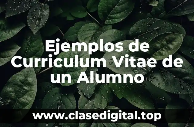 Ejemplos de Curriculum Vitae de un Alumno