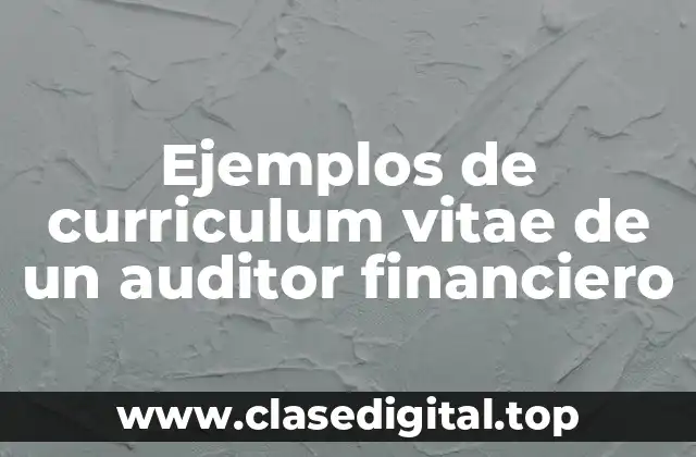 Ejemplos de curriculum vitae de un auditor financiero