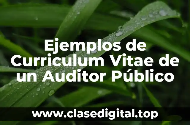 Ejemplos de Curriculum Vitae de un Auditor Público