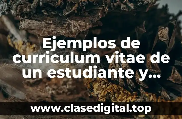 Ejemplos de curriculum vitae de un estudiante