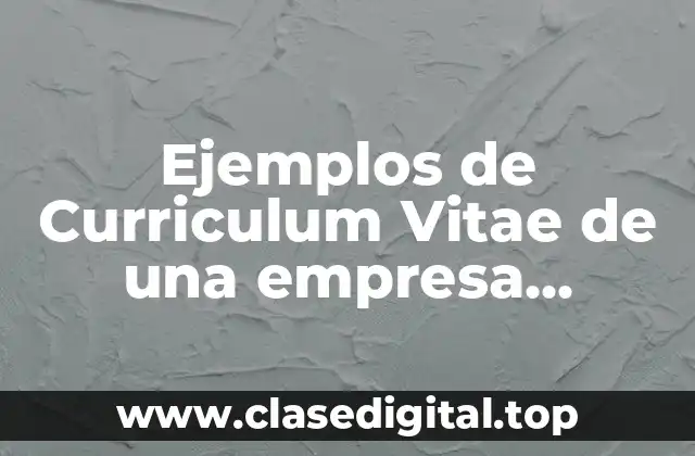 Ejemplos de Curriculum Vitae de una empresa constructora