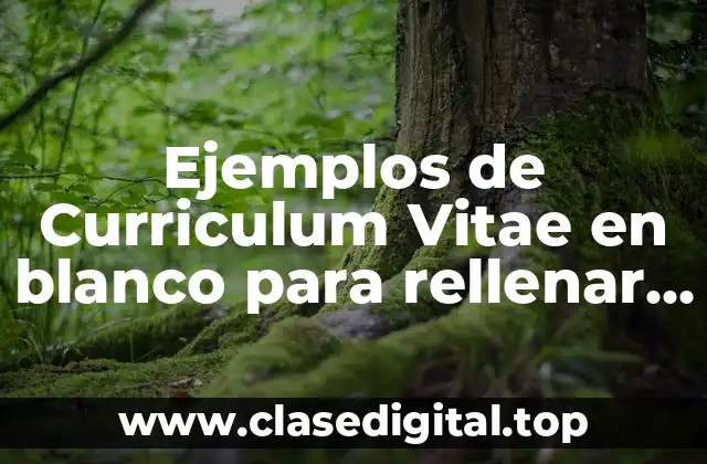 Ejemplos de Curriculum Vitae en blanco para rellenar en inglés
