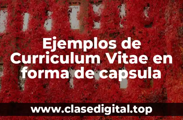 Ejemplos de Curriculum Vitae en forma de capsula