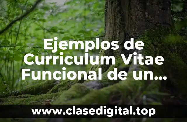 Ejemplos de Curriculum Vitae Funcional de un Analista de Credito