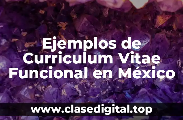 Ejemplos de Curriculum Vitae Funcional en México
