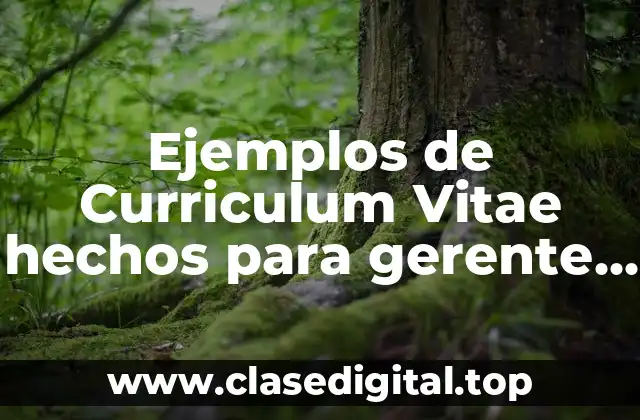 Ejemplos de Curriculum Vitae hechos para gerente de ventas