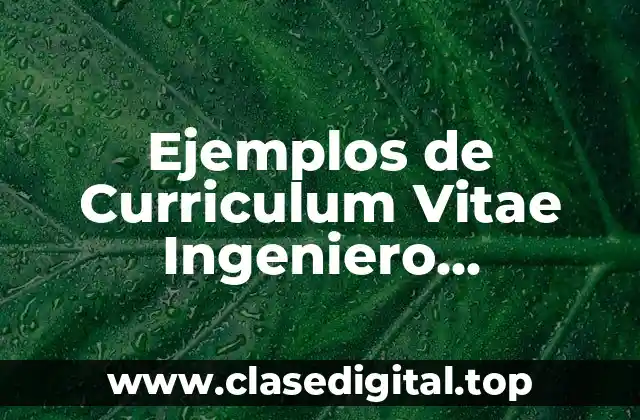 Ejemplos de Curriculum Vitae Ingeniero Electrónico y Significado