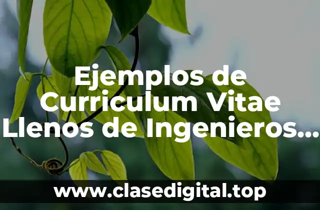 Ejemplos de Curriculum Vitae Llenos de Ingenieros Agrónomos y Significado