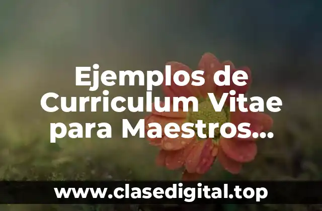 Ejemplos de Curriculum Vitae para Maestros Primaria y Significado