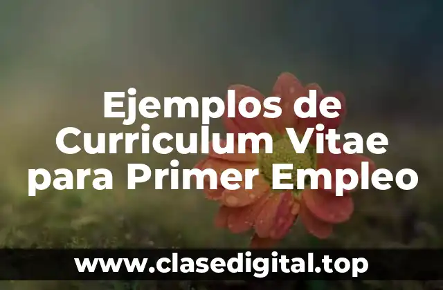 Ejemplos de Curriculum Vitae para Primer Empleo