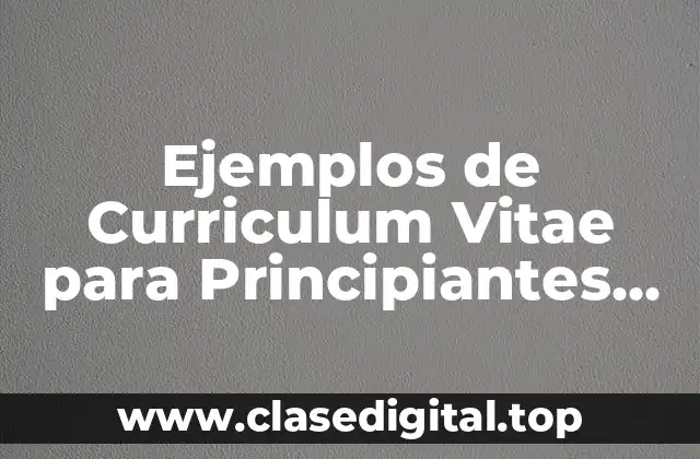 Ejemplos de Curriculum Vitae para Principiantes en Administración y Significado