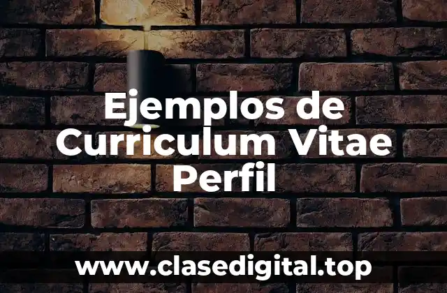 Ejemplos de Curriculum Vitae Perfil
