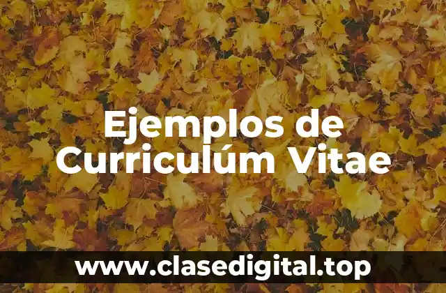 Ejemplos de Curriculúm Vitae