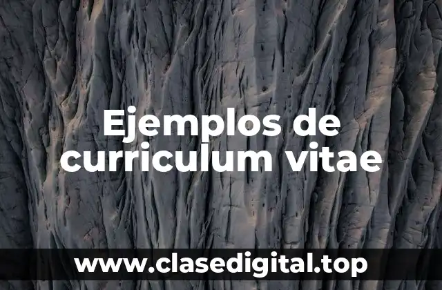 Ejemplos de curriculum vitae