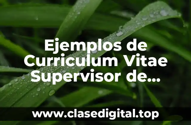 Ejemplos de Curriculum Vitae Supervisor de Trafico y Mantenimiento