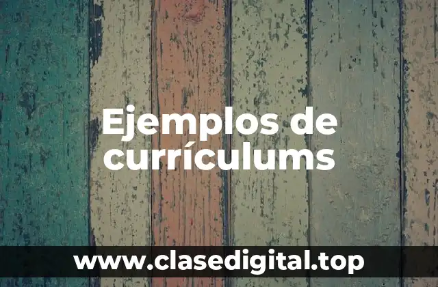 Ejemplos de currículums