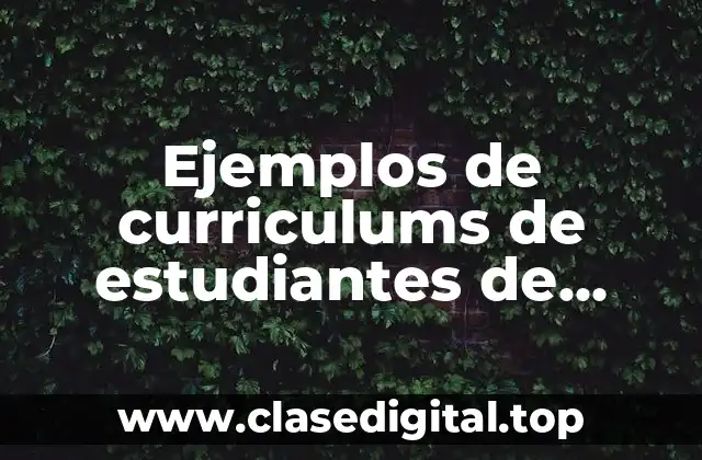 Ejemplos de curriculums de estudiantes de ingeniería química